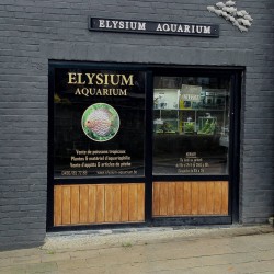 Elysium Aquarium
